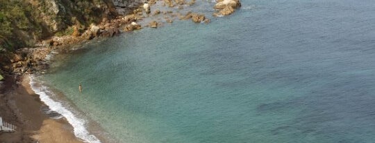 Spiaggia Le Viste is one of #elba #scuoladinatura.