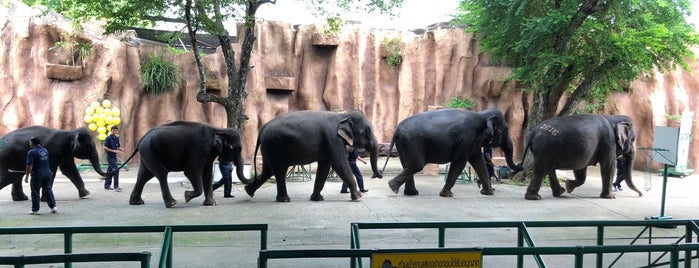 Elephant Show is one of Bangkok - Pattaya Spots.