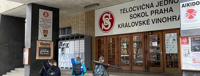 TJ Sokol Praha – Královské Vinohrady is one of Signal Festival 2018.