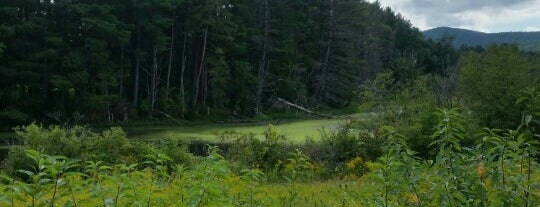 Canoe Meadows Wildlife Sanctuary is one of Ashfield to Cornwall.