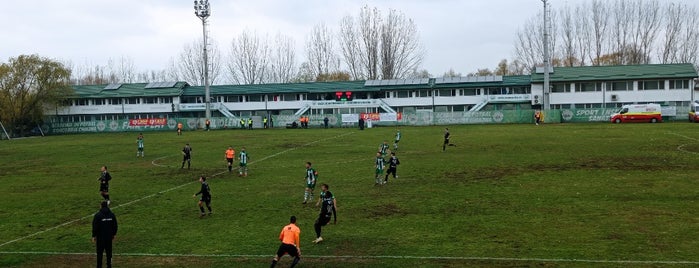 FC Concordia is one of College Stadium.