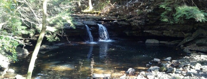 South Cumberland State Park is one of Best Places to Check out in United States Pt 4.