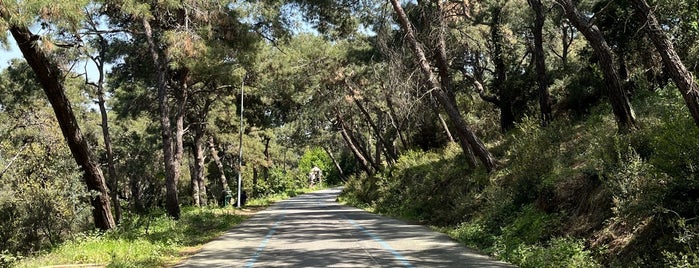 Aşıklar Yolu is one of İstanbul Anadolu Yakası.