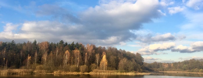 Озеро Плотина is one of Дневник Путешественника.