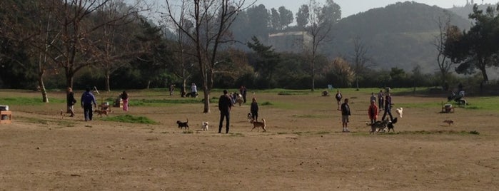 Laurel Canyon Dog Park is one of Orte, die Adam gefallen.