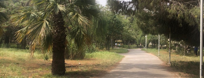 Parc de Sidi Bou Saïd is one of Parcs et jardins de Tunis.