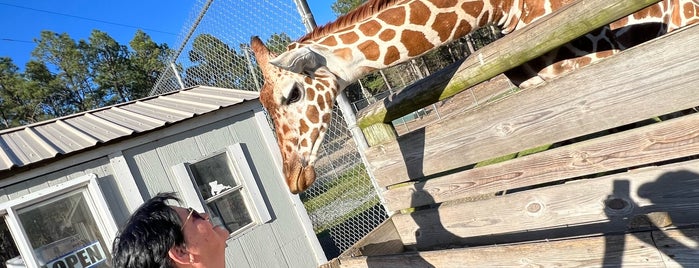 Aloha Safari Zoo is one of Lieux qui ont plu à Daina.