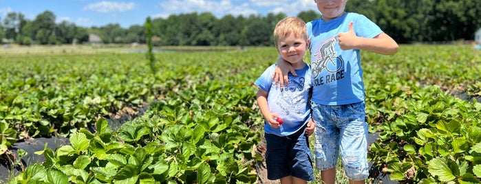 DJ's Berry Patch is one of Fresh Farms.