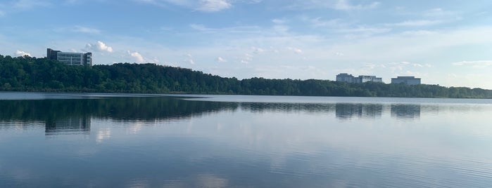 Lake Crabtree Lake Trail (Weston Parkway Bridge Entrance) is one of Family Fun.