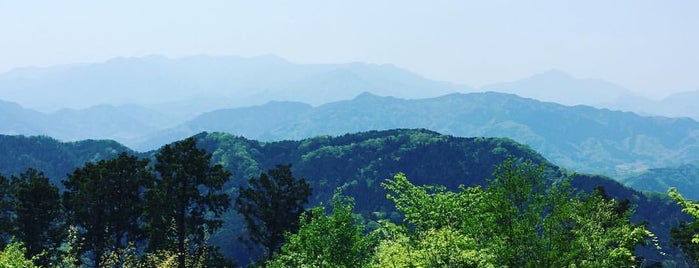 Top of Mt. Takao is one of Travel Guide to Tokyo.
