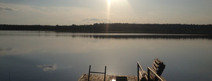 Орлинское озеро is one of Lieux qui ont plu à Andrey.