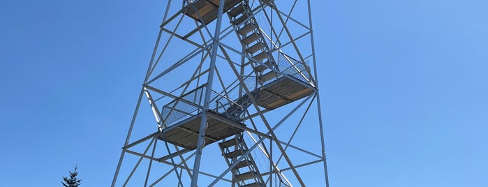 Hunter Mountain Fire Tower is one of My Side of the Mountain.