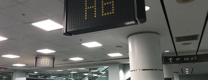 Gate A8 is one of H : понравившиеся места.