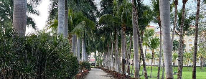 Riu Guanacaste is one of Tempat yang Disukai Allison.