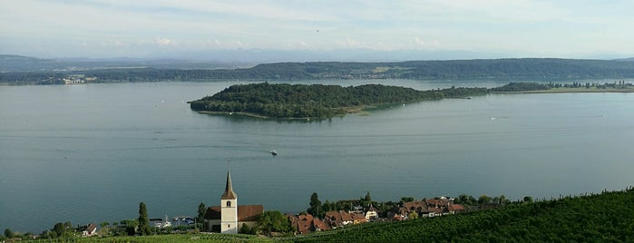 Weinbau Festiguet is one of Switzerland (out of Zurich).
