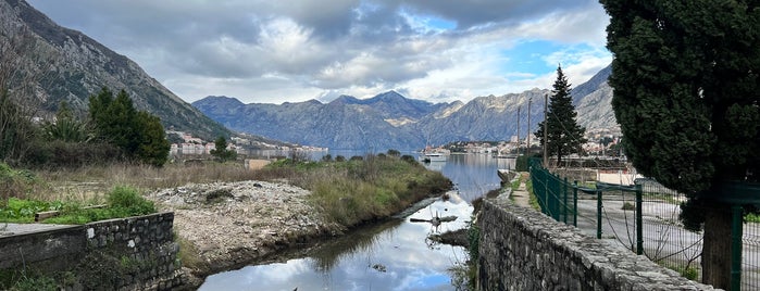 Luka Kotor is one of Kotor.