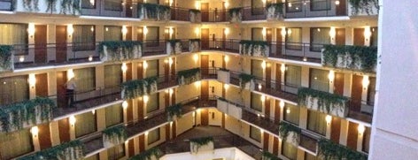 Embassy Suites by Hilton is one of Justinさんのお気に入りスポット.