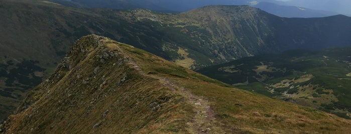 Гутин Томнатик (2016 м) is one of สถานที่ที่ Mikhail ถูกใจ.