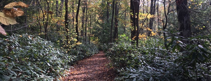 Bear Run is one of favorite hiding spots.