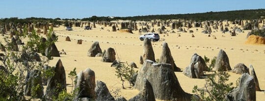 Pinnacles View is one of Western Australia 2015.