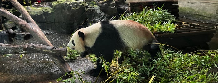 Panda Garden is one of Lieux qui ont plu à Sevil.