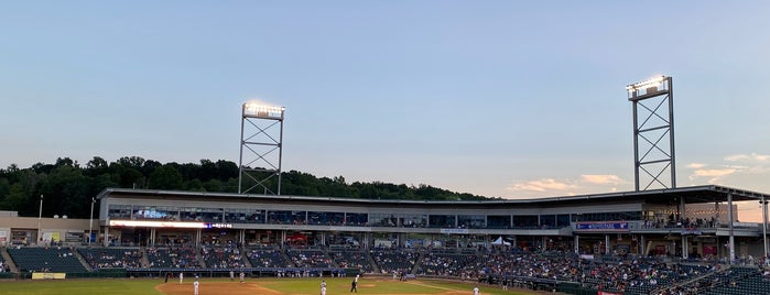 Palisades Credit Union Park is one of Independent League Stadiums.
