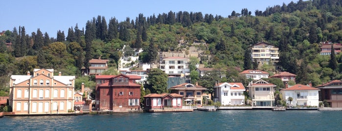 Bosphorus Boat Tour is one of IST.