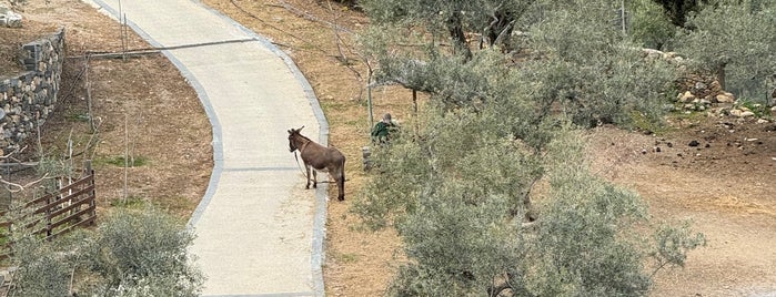 Kinsterna Hotel & Spa is one of Lakonia.