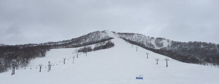 Niseko Moiwa Ski Resort is one of Hokkaido 2012/03/01.
