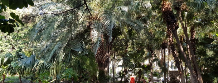 Paseo del Parque is one of Malaga.