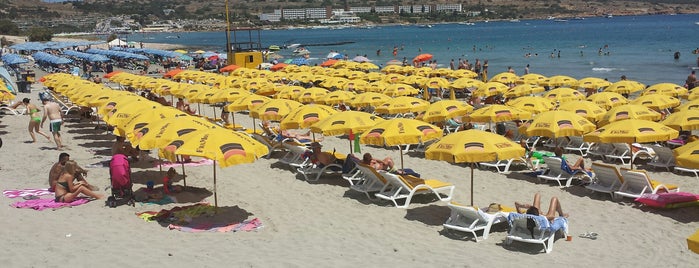 Għadira Bay Beach is one of Malta.