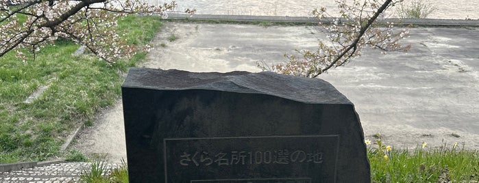 桧木内川堤 is one of 東北.