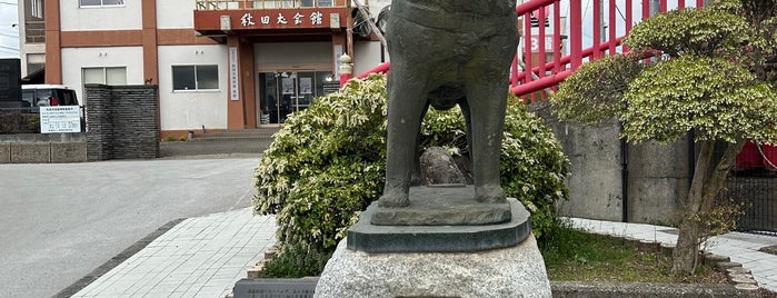 秋田犬会館 is one of 大館市.