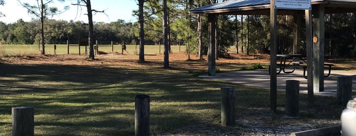 Lithia Springs Park is one of Camping areas.