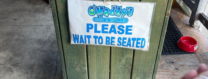 O'Maddy's is one of bars.