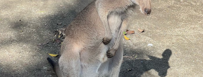 Wildlife Habitat is one of AUS Trip.