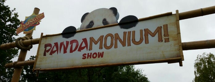 Pandamonium is one of Chessington World of Adventures - Everything.