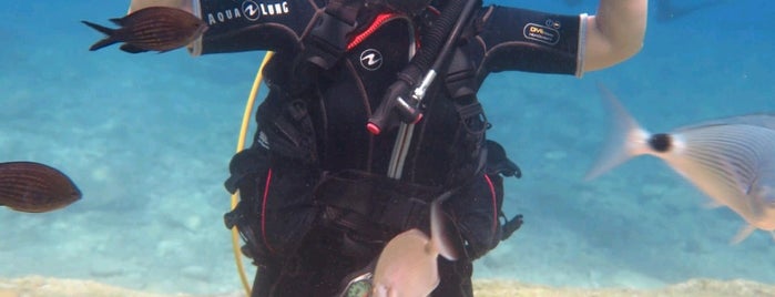 Mermaid Diving is one of Scuba.