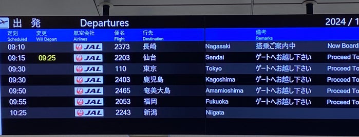 JAL Check-in Counter is one of 日本の空港.