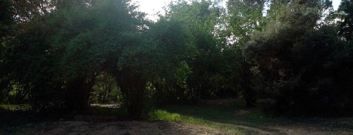 Parc du Belvédère is one of Grand Tunis : To Do List!.