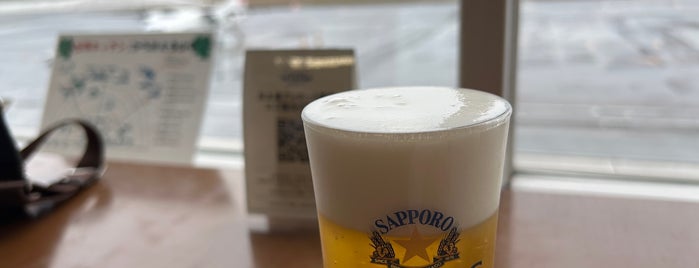 Sapporo Okadama Airport (OKD) is one of Airports Worldwide #2.