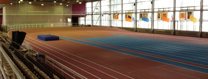 Олимпийский центр имени братьев Знаменских is one of Площадки для игры в Бадминтон.