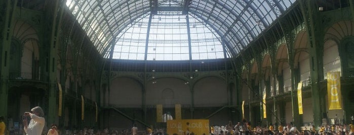 Grand Palais is one of PARIS.