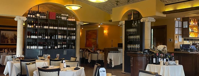 Dario's American Cuisine is one of The 15 Best Places for Red Wine in Houston.