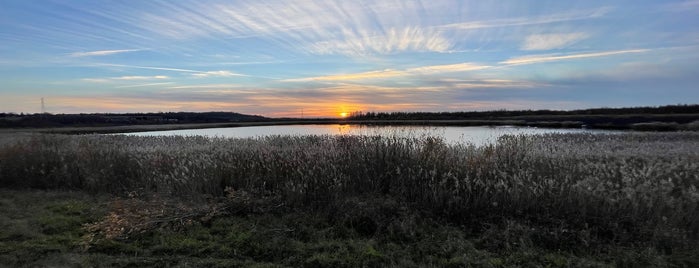 RSPB Fairburn is one of Wild West Yorkshire.