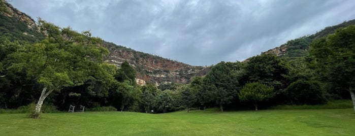 Walter Sisulu National Botanical Gardens is one of Johannesburg.