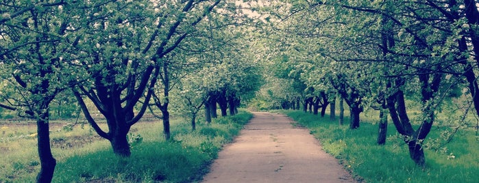 Ботанический сад is one of Оранжереи.