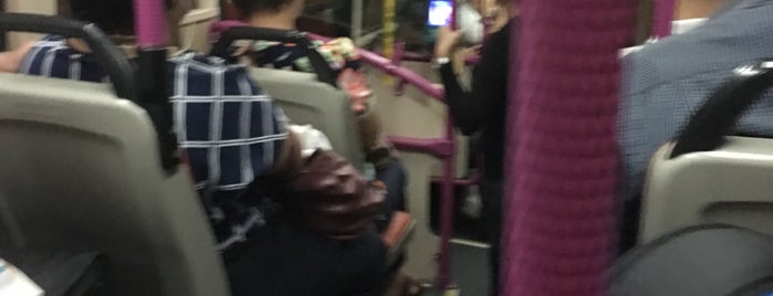 SBS Transit: Bus 53 is one of Home.