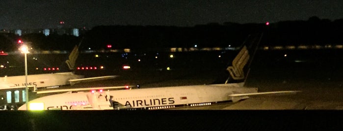 SQ26 SIN-FRA-JFK / Singapore Airlines is one of SQ Flights Departing SIN.