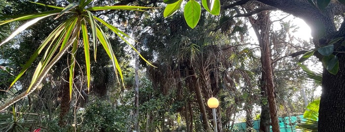 Jungle Prada De Narváez Park is one of TropiCreek.